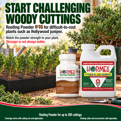 Hormex Rooting Duo: Rooting Powder #16 (3/4 oz) & Vitamin B1 & Hormone Concentrate (8 oz)