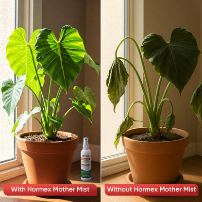 Hormex Mother Mist - Cal-Mag-Iron + B1 Misting Spray for All Plant Varieties - Boost Growth, Strengthen Plants & Improve Cloning Success - Nutrient Mist for Houseplants, Flowers, Vegetables & More