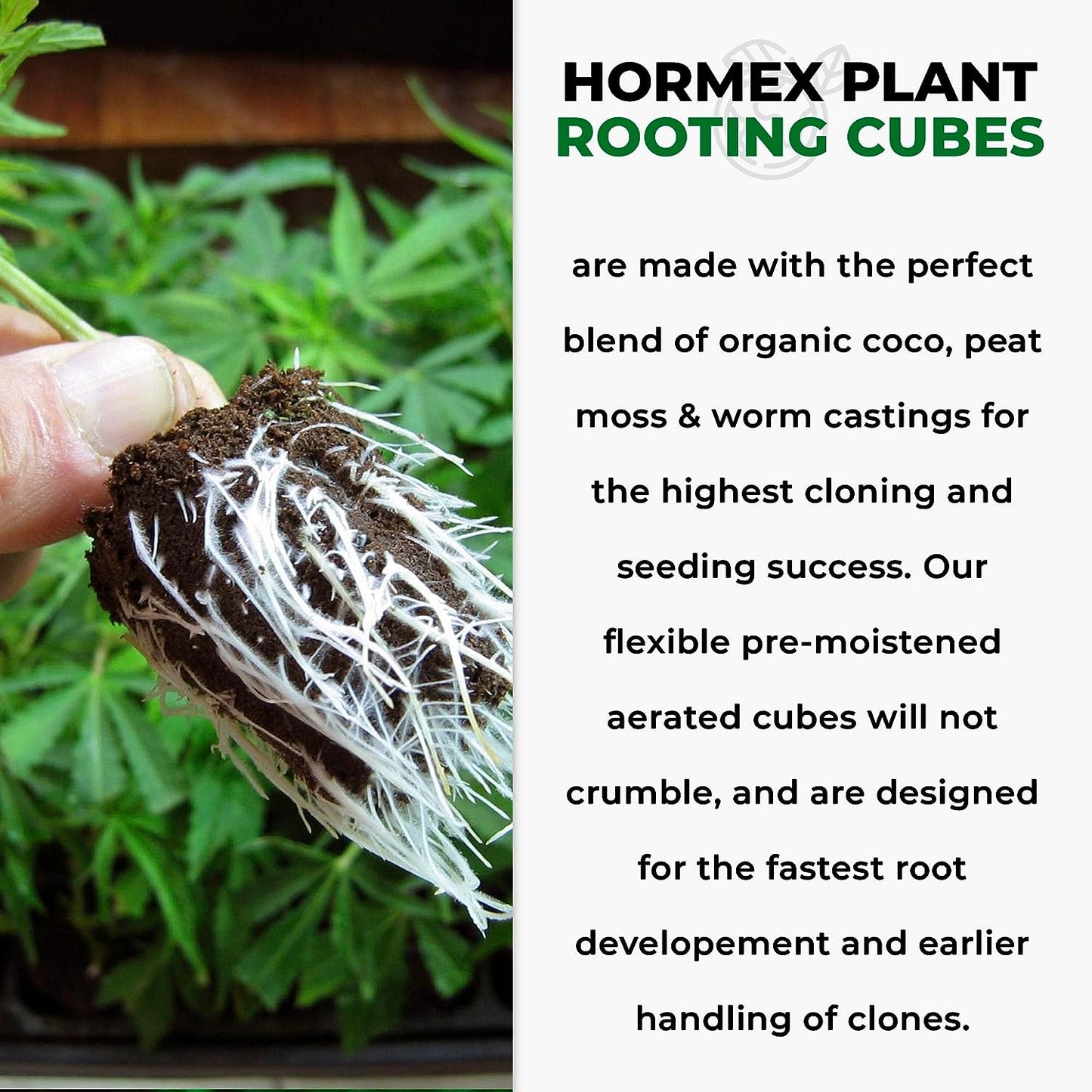 Hormex Rooting Cubes – Boost Root Development & Accelerate Plant Growth