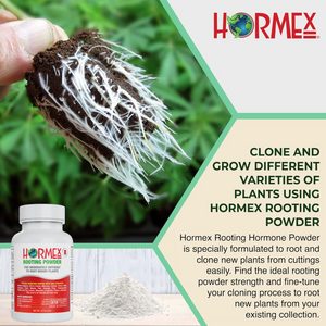 Hormex Rooting Powder #8 | Clone Moderately Difficult to Root Plants From Cuttings