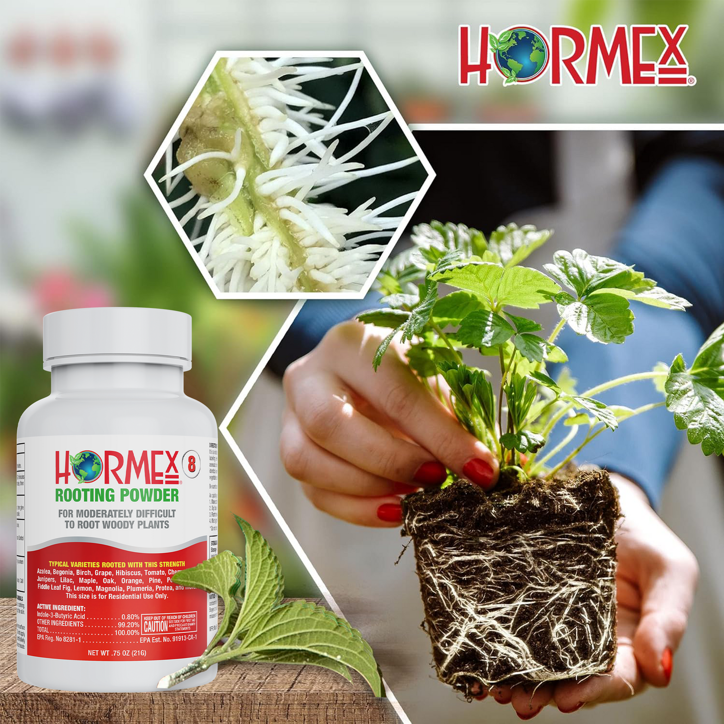 Hormex Rooting Powder #8 | Clone Moderately Difficult to Root Plants From Cuttings