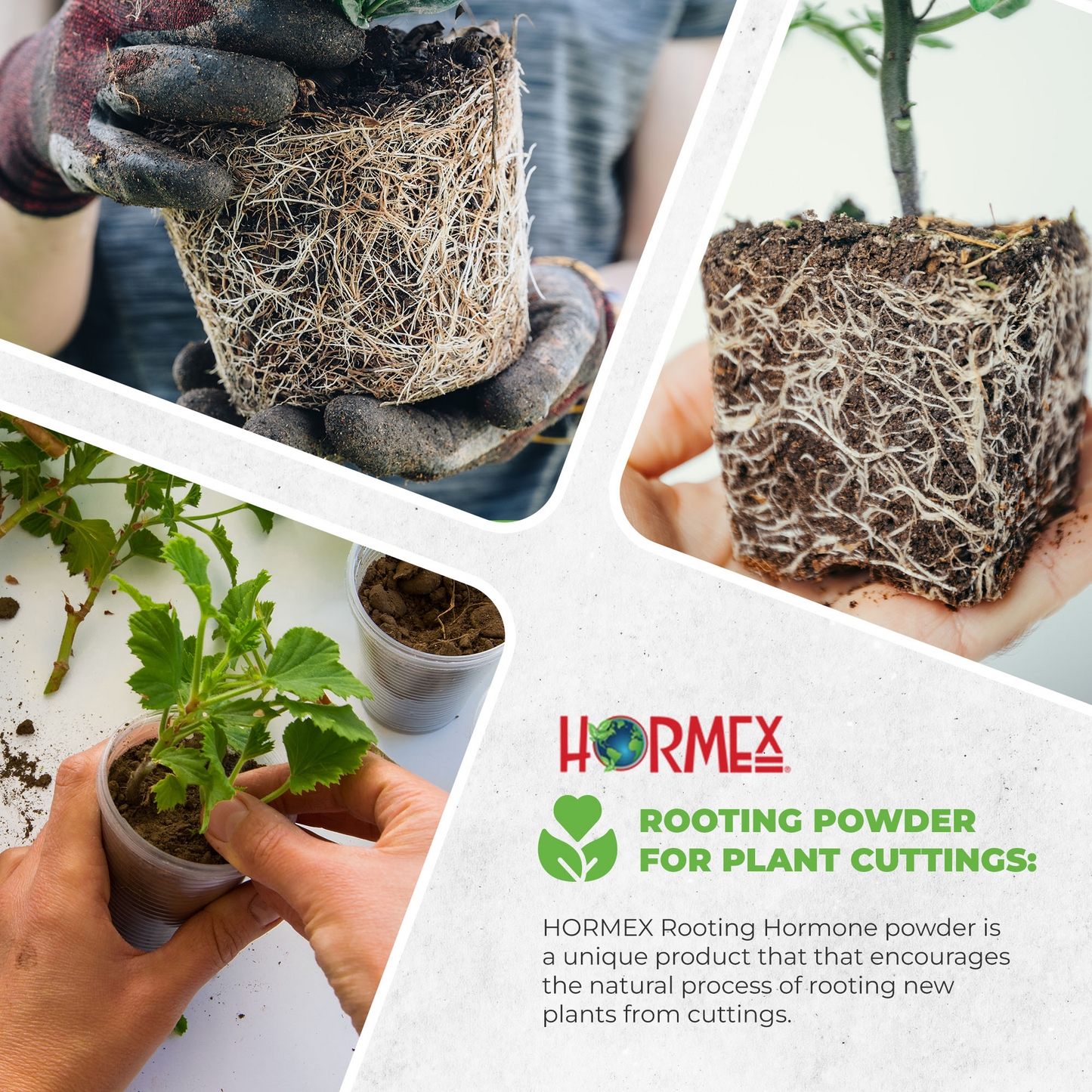 Hormex Rooting Powder #1 | Clone Easy to Root Plants From Cuttings