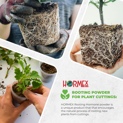 Hormex Rooting Powder #1 | Clone Easy to Root Plants From Cuttings