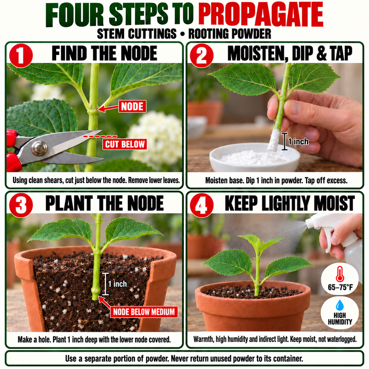 Hormex Rooting Powder #1 (0.10% IBA) - For Easy-to-Root Plant Cuttings