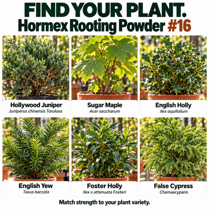 Hormex Rooting Powder #16 (1.60% IBA) - For Difficult-to-Root Hardwood Cuttings