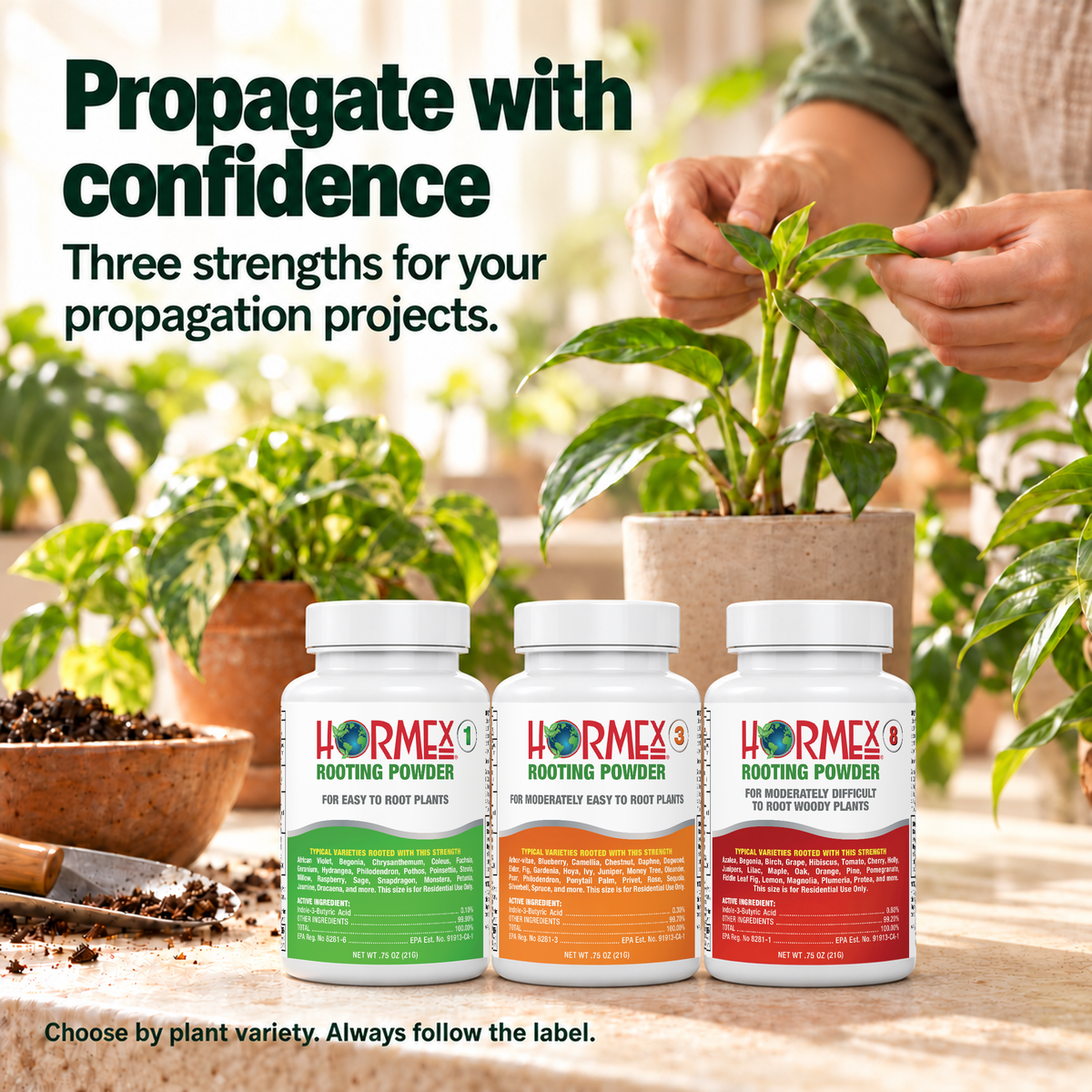 Hormex Rooting Powder Variety Pack #1, #3 & #8 - Three 3/4 oz Bottles