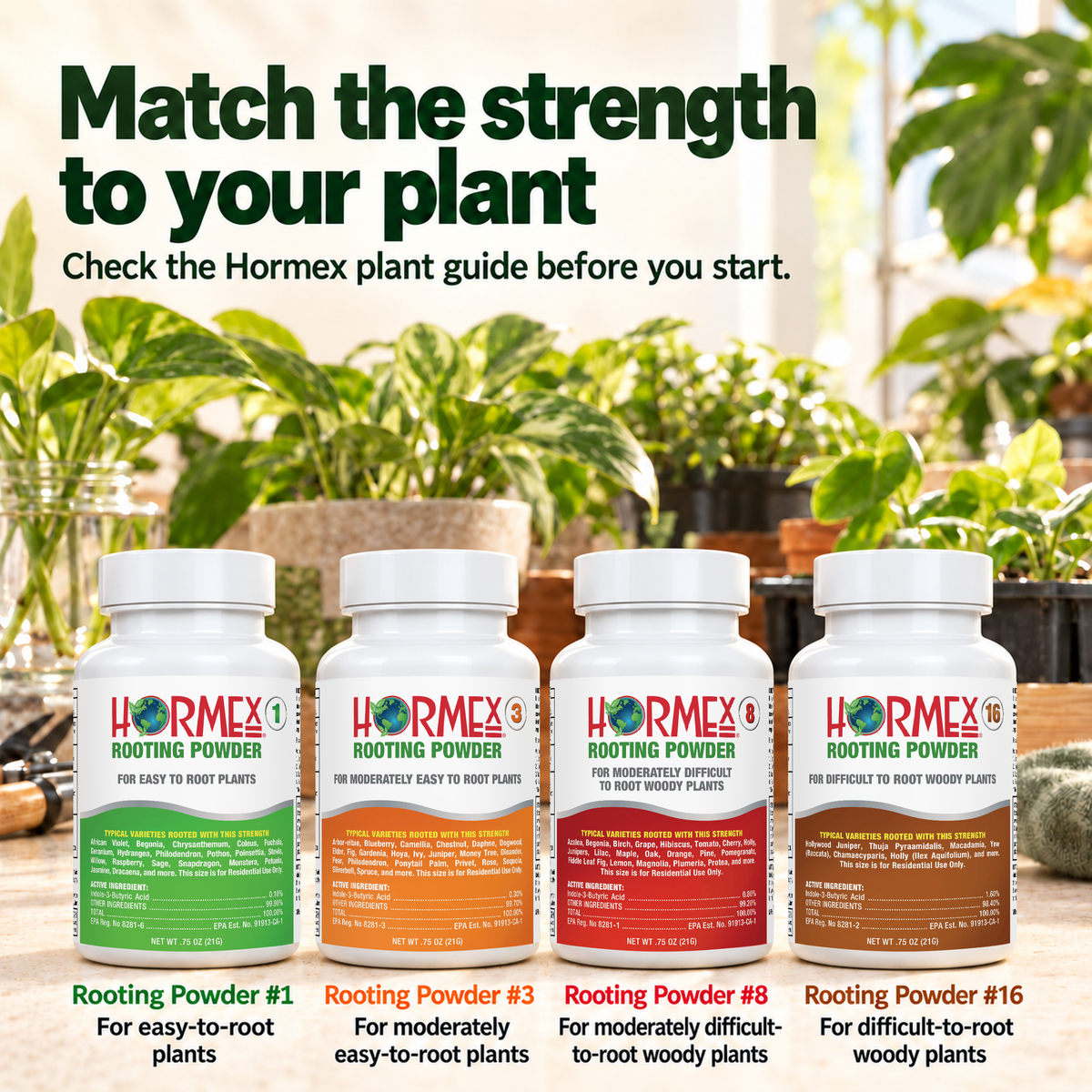 Hormex Rooting Powder Variety Pack #1, #3, #8 & #16 - Four 3/4 oz Bottles