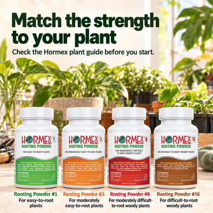 Hormex Rooting Powder Variety Pack #1, #3, #8 & #16 - Four 3/4 oz Bottles