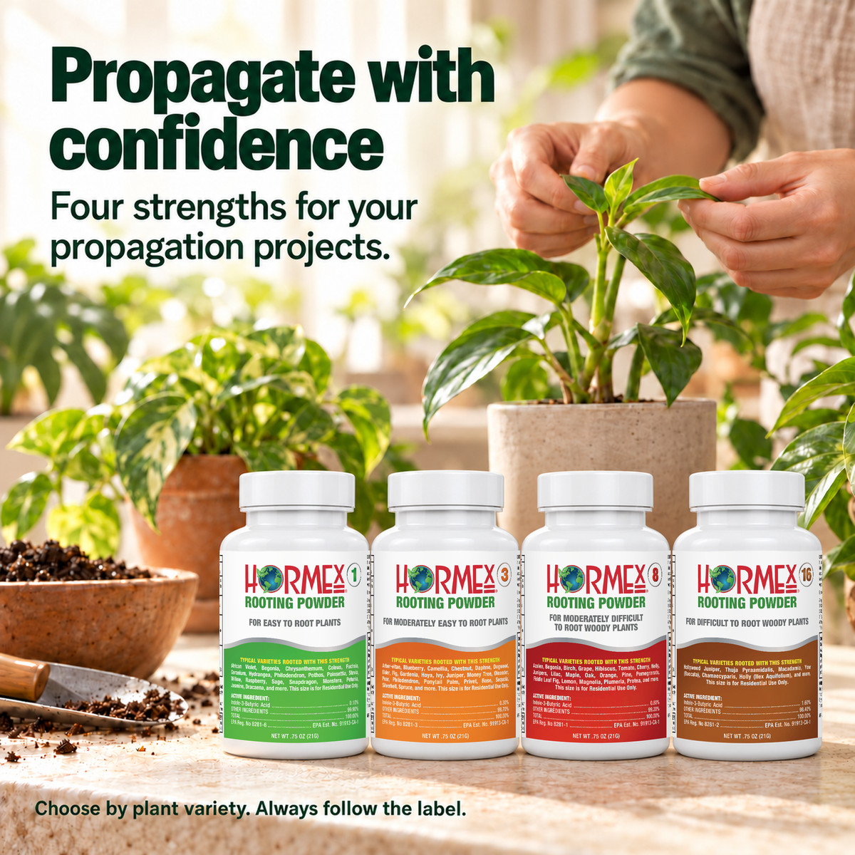 Hormex Rooting Powder Variety Pack #1, #3, #8 & #16 - Four 3/4 oz Bottles