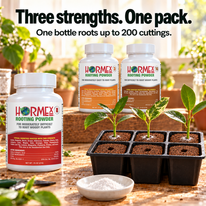 Hormex Rooting Powder Variety Pack #3, #8 & #16 - Three 3/4 oz Bottles