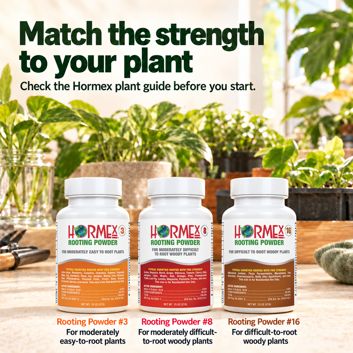 Hormex Rooting Powder Variety Pack #3, #8 & #16 - Three 3/4 oz Bottles