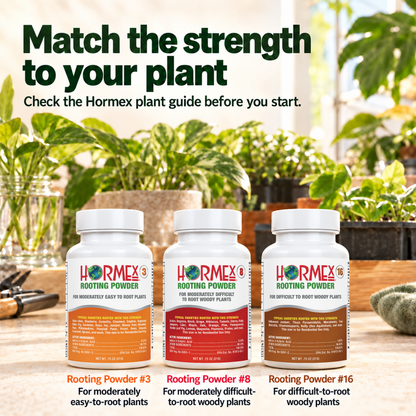 Hormex Rooting Powder Variety Pack #3, #8 & #16 - Three 3/4 oz Bottles