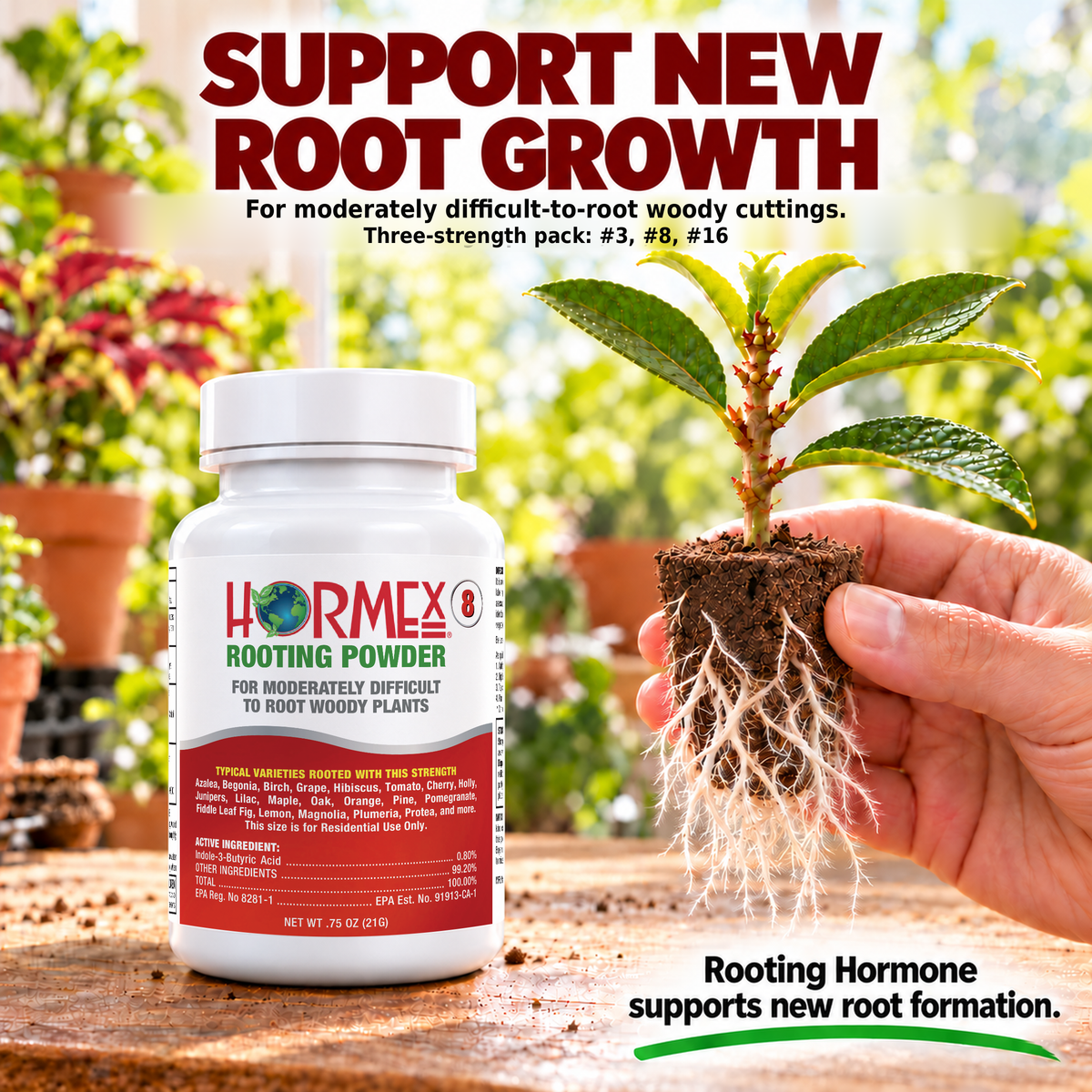 Hormex Rooting Powder Variety Pack #3, #8 & #16 - Three 3/4 oz Bottles