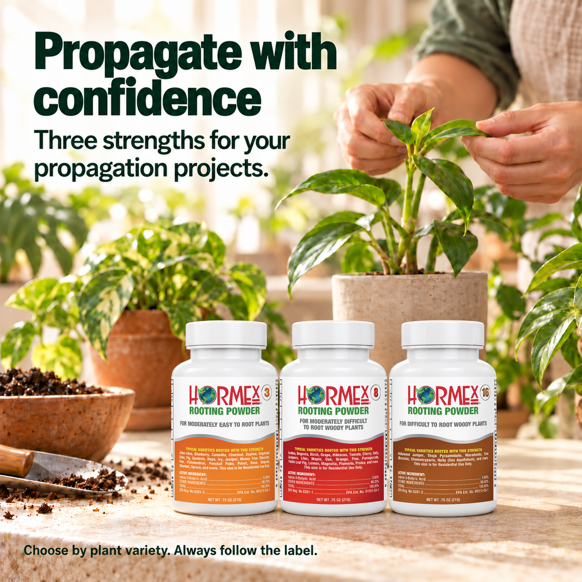 Hormex Rooting Powder Variety Pack #3, #8 & #16 - Three 3/4 oz Bottles