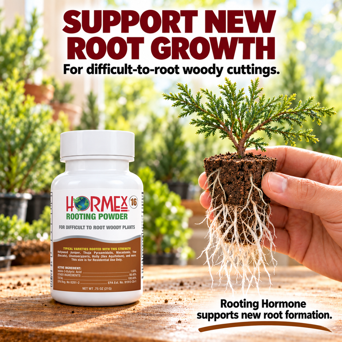 Hormex Rooting Powder Variety Pack #8 & #16 - Two 3/4 oz Bottles