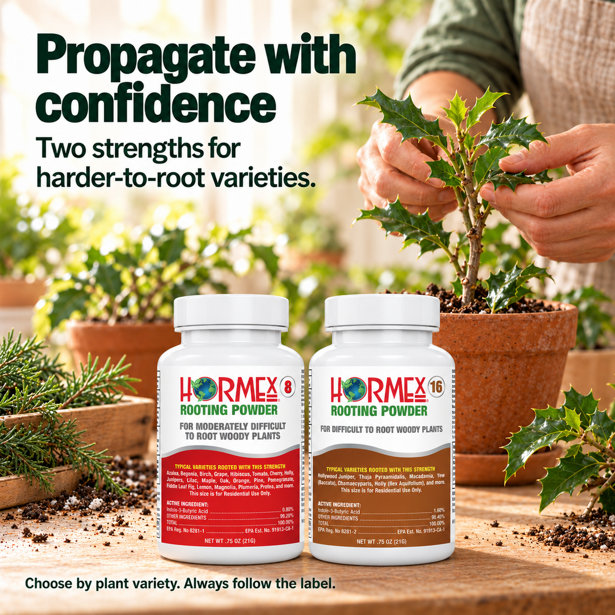 Hormex Rooting Powder Variety Pack #8 & #16 - Two 3/4 oz Bottles