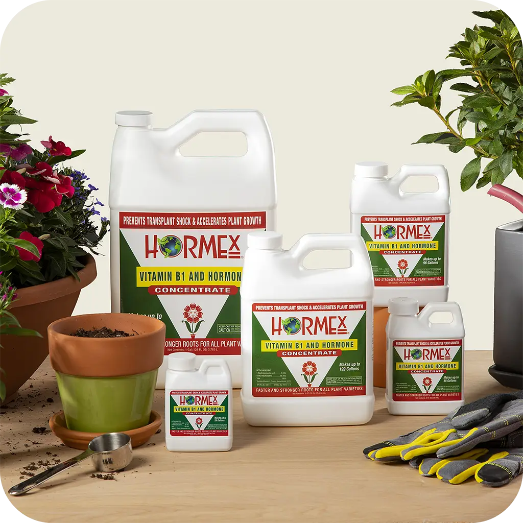 rooting hormone for plants root stimulator for strong roots