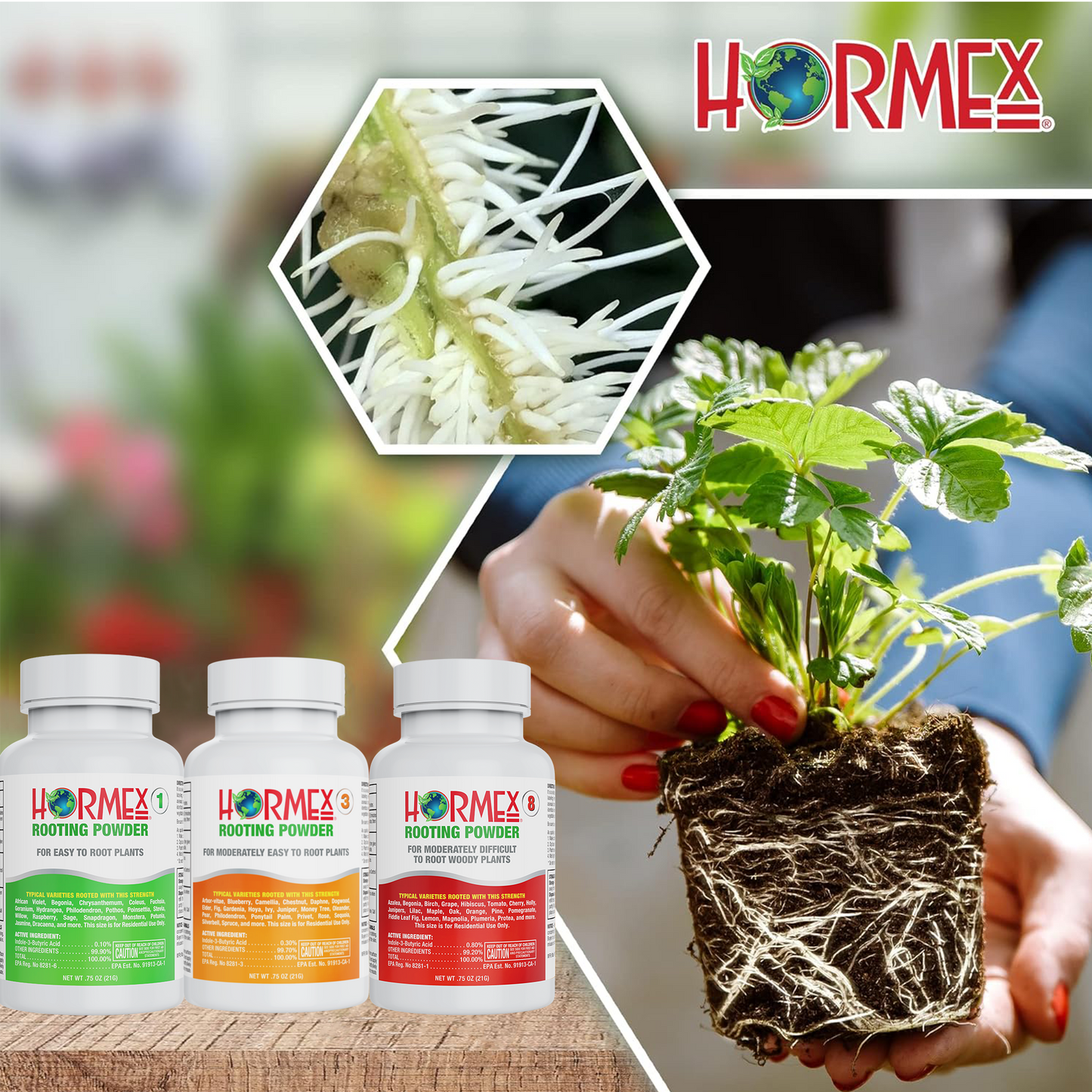 Hormex Rooting Pack  #1, 3, 8 | Clone Easy to Moderately Difficult Plants From Cuttings