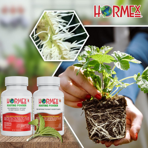 Hormex Rooting Pack #8 & 16 | For Moderately Difficult to Difficult to Root Plants