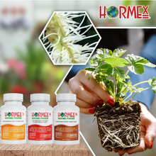 Hormex Rooting Pack #3, 8, 16 | Clone Moderately Easy to Very Difficult Plants From Cuttings
