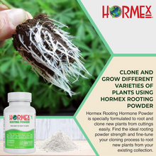Hormex Rooting Powder #1 | Clone Easy to Root Plants From Cuttings