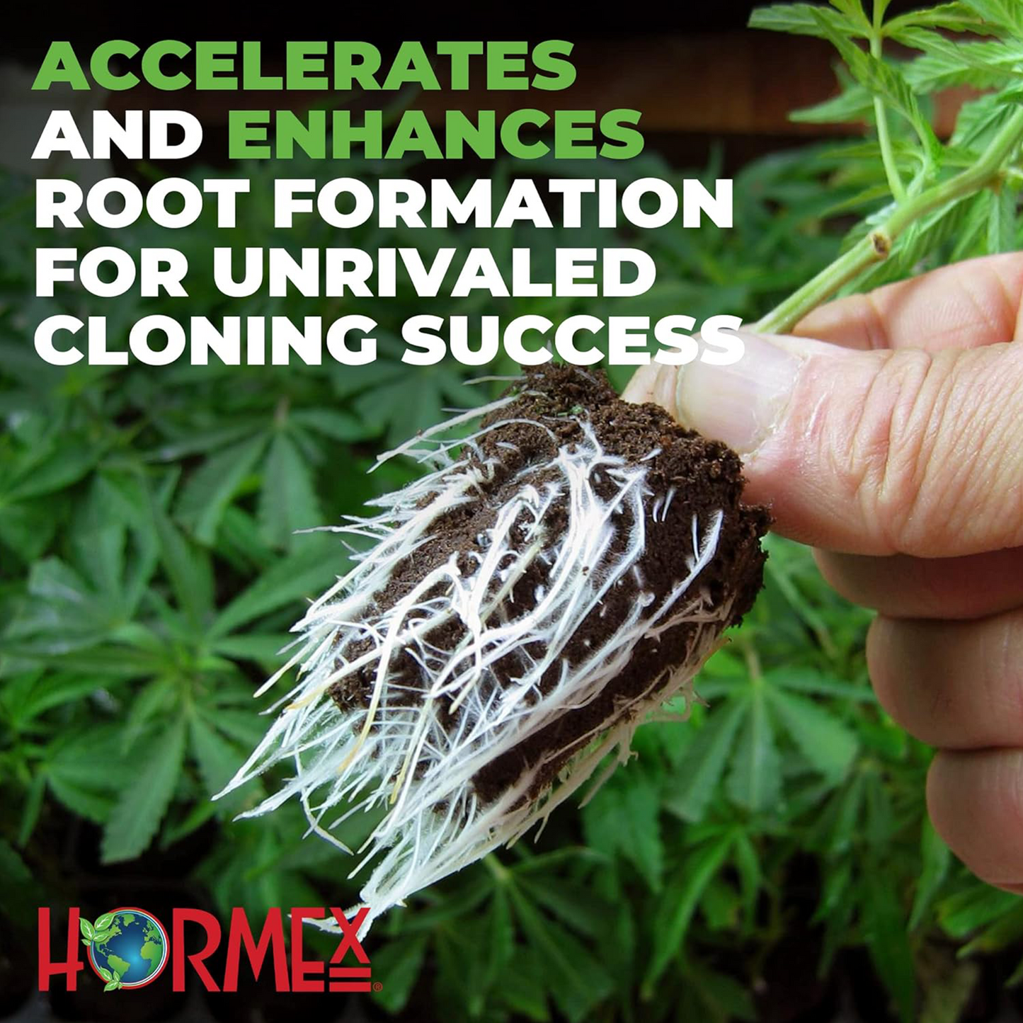 Hormex Rooting Pack  #1, 3, 8 | Clone Easy to Moderately Difficult Plants From Cuttings