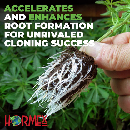 Hormex Rooting Pack  #1, 3, 8 | Clone Easy to Moderately Difficult Plants From Cuttings