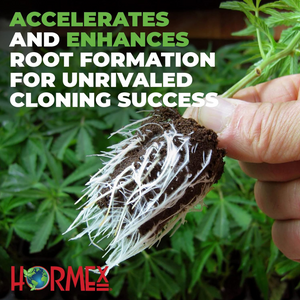 Hormex Rooting Pack  #1, 3, 8 | Clone Easy to Moderately Difficult Plants From Cuttings