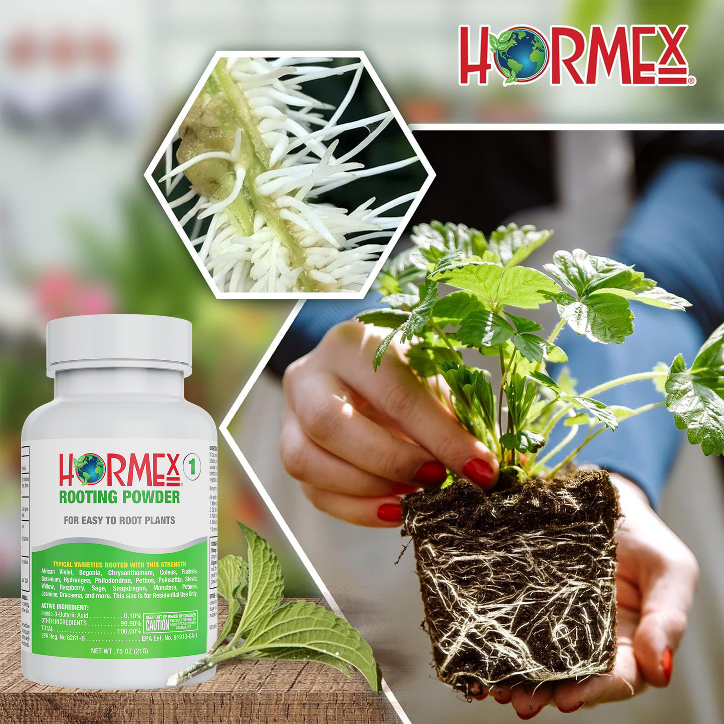 Hormex Rooting Powder #1 | Clone Easy to Root Plants From Cuttings