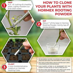 Hormex Rooting Pack  #1, 3, 8 | Clone Easy to Moderately Difficult Plants From Cuttings