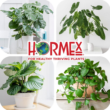 Hormex Rooting Pack  #1, 3, 8 | Clone Easy to Moderately Difficult Plants From Cuttings