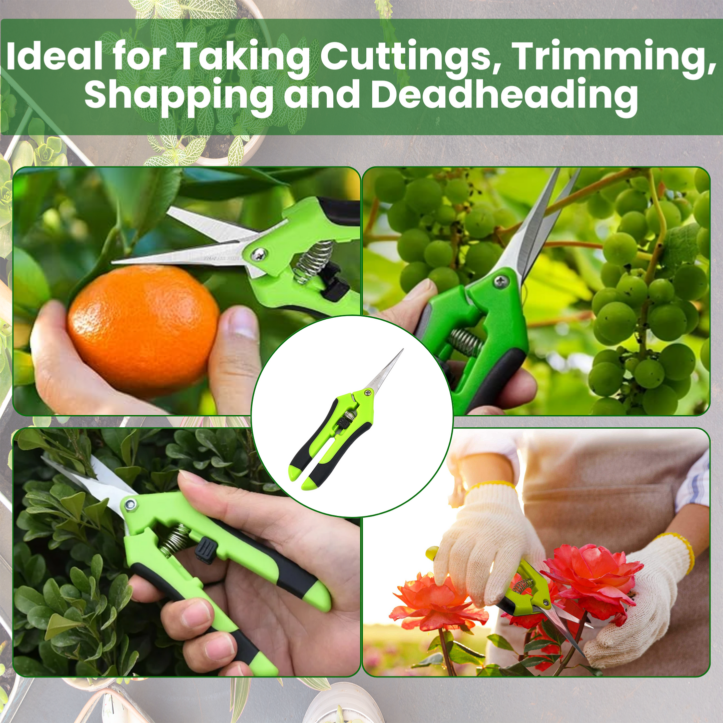 Hormex Cloning Shears - Precision Straight-Blade Shears, Ideal for Plant Cuttings