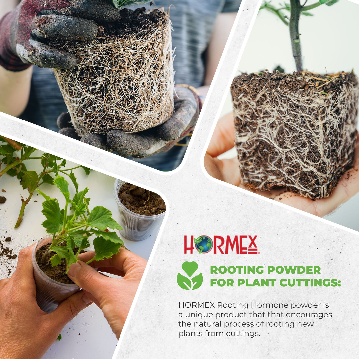 Hormex Rooting Powder #3 | Clone Moderately Easy to Root Plants From Cuttings