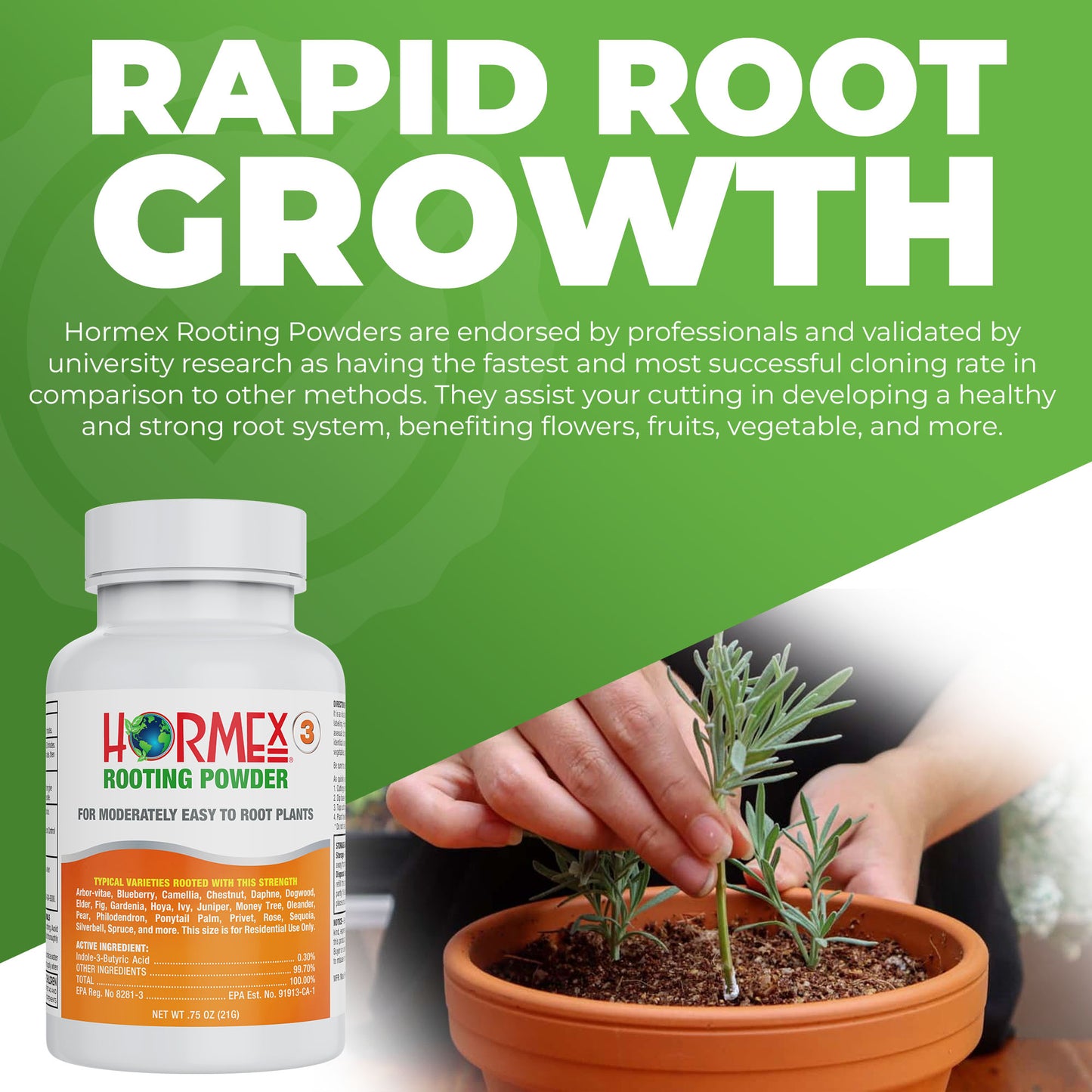 Hormex Rooting Powder #3 | Clone Moderately Easy to Root Plants From Cuttings