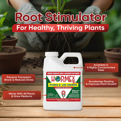 Hormex Rooting Hormone Concentrate with B1 – Root Growth Stimulator for Stronger, Thriving Plants - Prevents Transplant Shock - Hydroponics, Houseplants, Gardens, Trees, Fruits and Vegetables