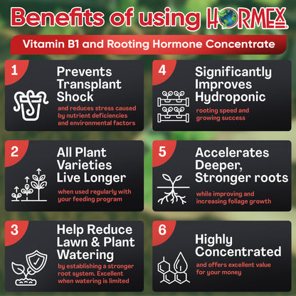 Hormex Rooting Hormone Concentrate with B1 – Root Growth Stimulator for Stronger, Thriving Plants - Prevents Transplant Shock - Hydroponics, Houseplants, Gardens, Trees, Fruits and Vegetables