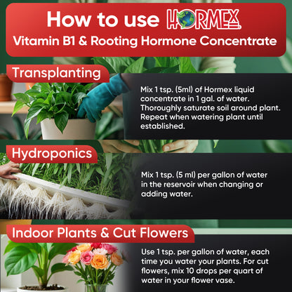 Hormex Rooting Hormone Concentrate with B1 – Root Growth Stimulator for Stronger, Thriving Plants - Prevents Transplant Shock - Hydroponics, Houseplants, Gardens, Trees, Fruits and Vegetables