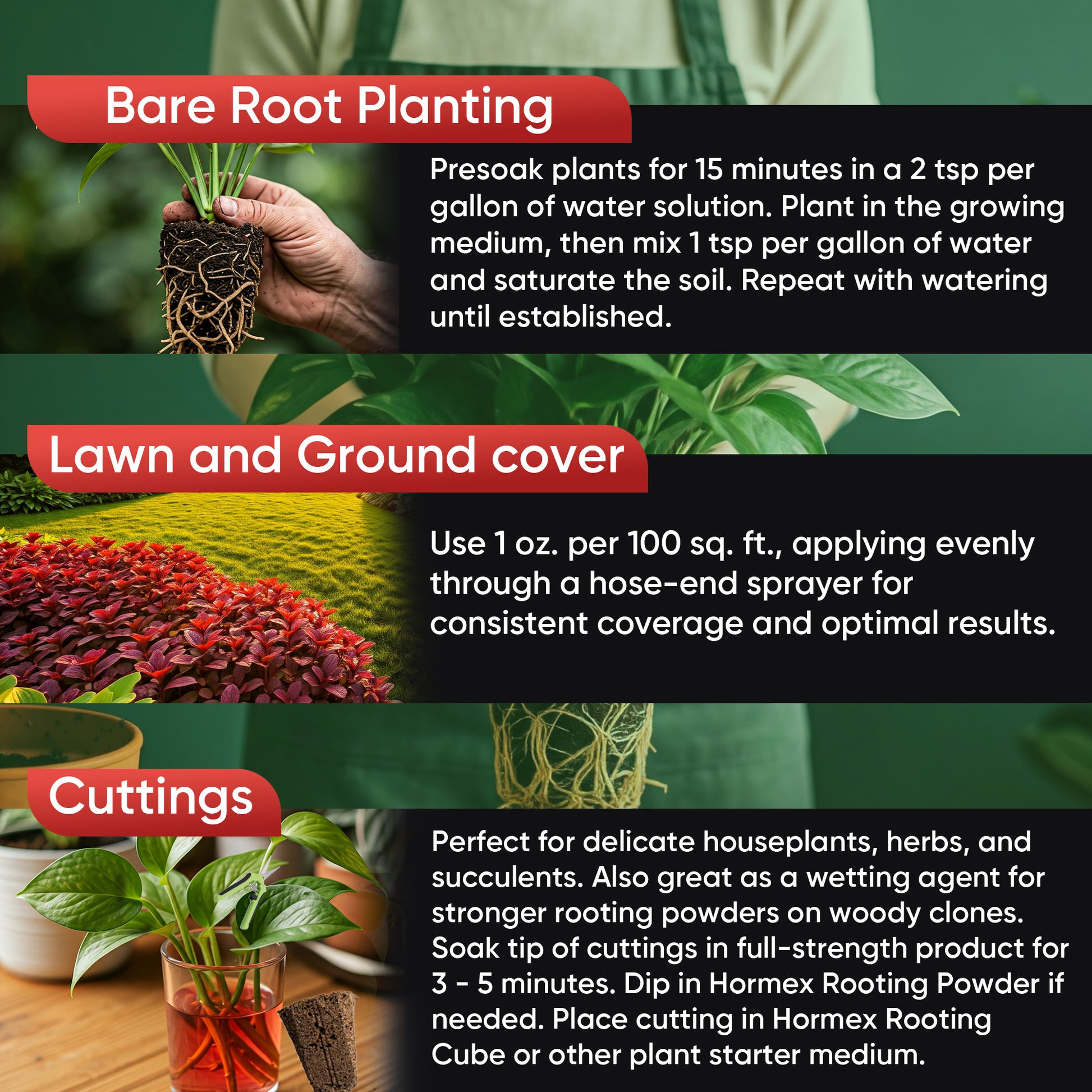 root stimulator for succulents Hormex Vitamin B1 Rooting Hormone Concentrate – Root Growth Stimulator
