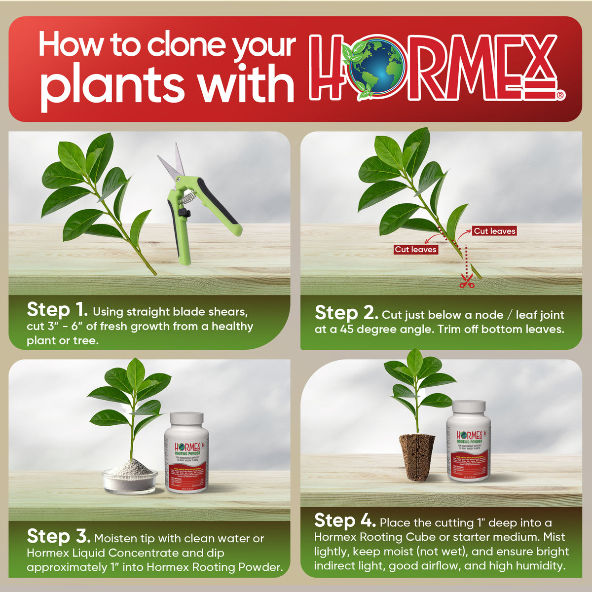 Hormex Rooting Powder #8 (0.8 IBA) - Rooting Hormone – HORMEX