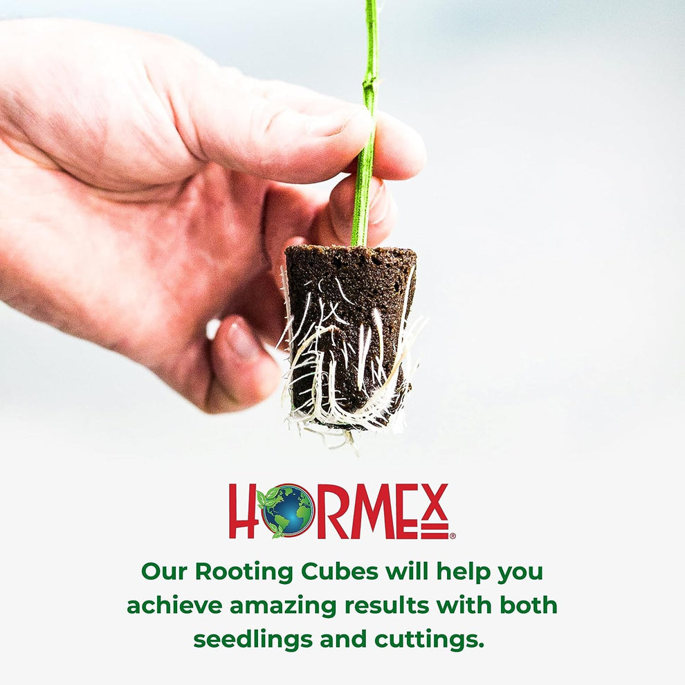 Hormex Rooting Cubes - 50 Cube Bag & 2100 Bulk Box – HORMEX