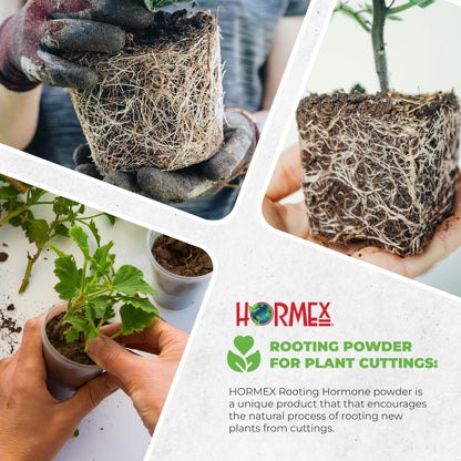 Hormex Rooting Duo: Vitamin B1 Rooting Hormone Concentrate & Rooting Powder #8 for Moderately Difficult to Root Plants