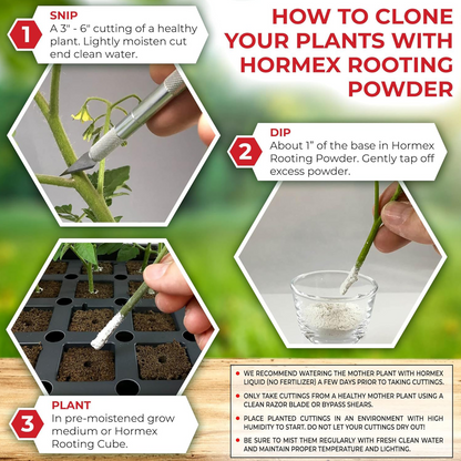 Hormex Rooting Duo: Vitamin B1 Rooting Hormone Concentrate & Rooting Powder #8 for Moderately Difficult to Root Plants