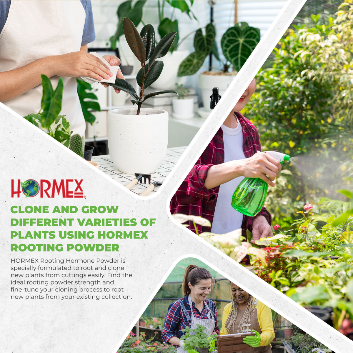 Hormex Rooting Powder #1 (0.10 IBA) - Rooting Hormone for Delicate Houseplants Garden Herbs & Succulent Cuttings