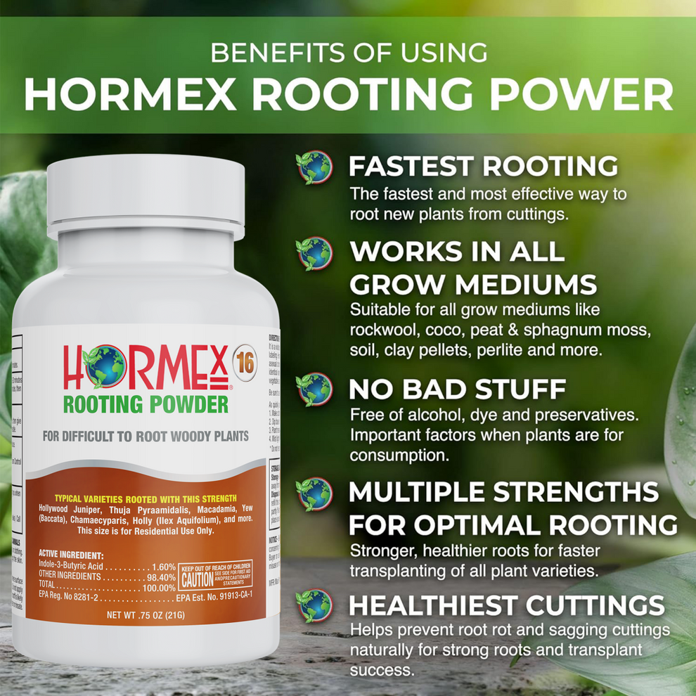 Hormex Rooting Powder #16 (1.6 IBA) - Rooting Hormone – HORMEX