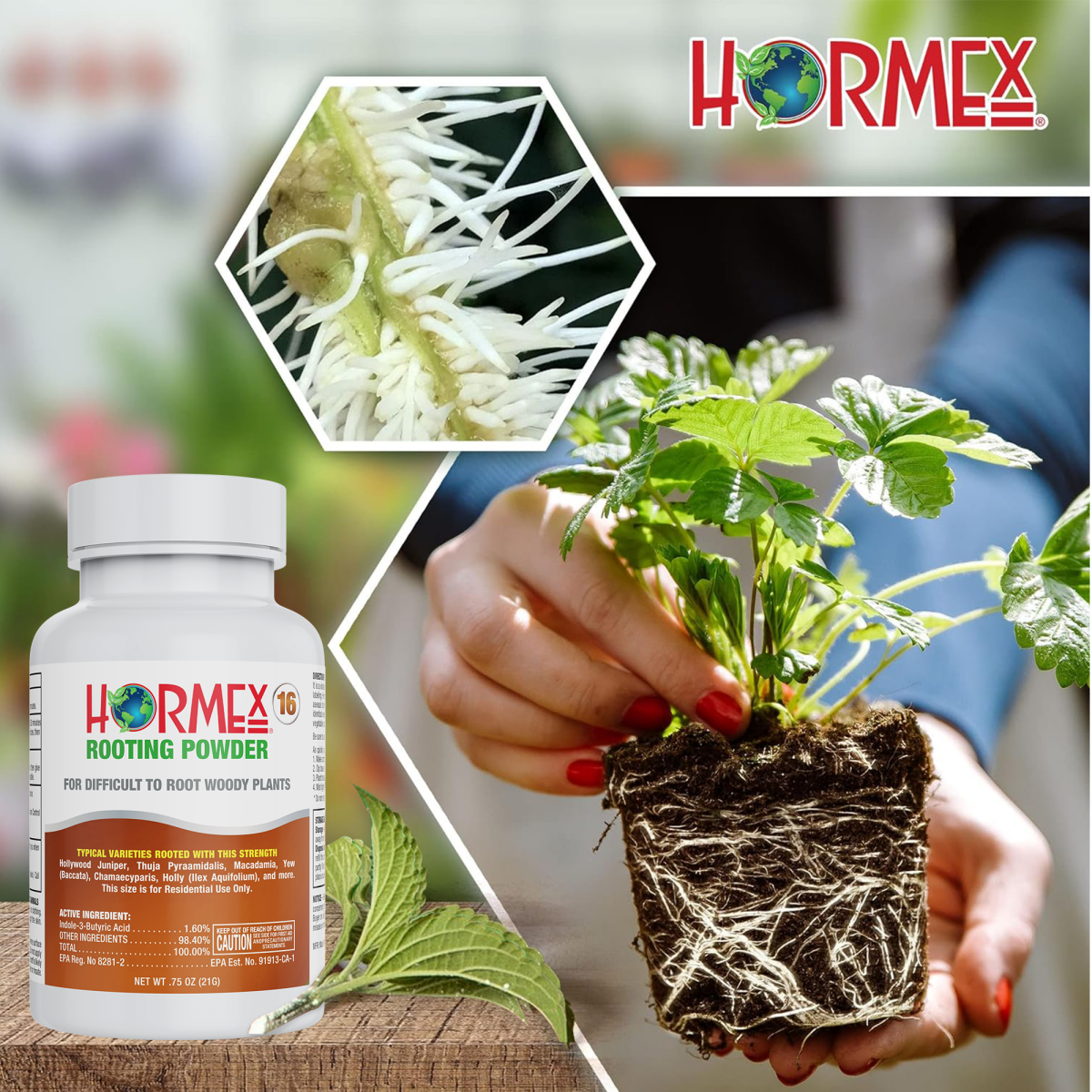 Hormex Rooting Powder #16 (1.60 IBA) - Rooting Hormone for Difficult Hardwood Plants & Tree Cuttings - Plant Suppliments