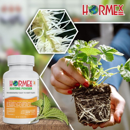 Hormex Rooting Powder #3 (0.30 IBA) - Rooting Hormone for Common Home & Garden Plant Cuttings - Plant Suppliments