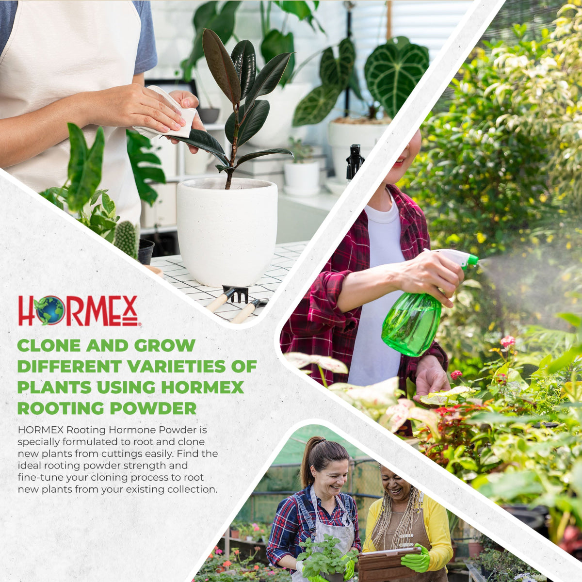 Hormex Rooting Powder #3 (0.30 IBA) - Rooting Hormone for Common Home & Garden Plant Cuttings - Plant Suppliments