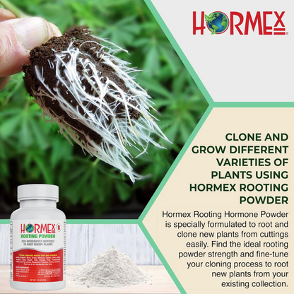 Hormex Rooting Powder #8 (0.80 IBA) - Rooting Hormone for Semi-Hardwood Houseplants Medicinal & Tree Cuttings - Plant