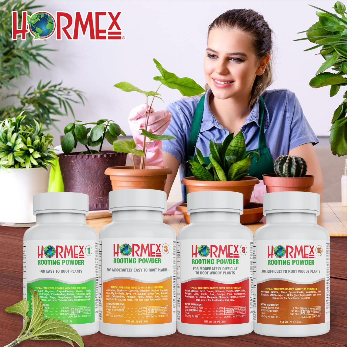 Hormex Rooting Powder #8 (0.80 IBA) - Rooting Hormone for Semi-Hardwood Houseplants Medicinal & Tree Cuttings - Plant