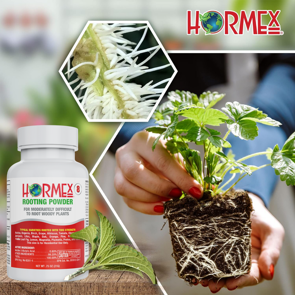 Hormex Rooting Powder #8 (0.8 IBA) - Rooting Hormone – HORMEX